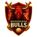Bhimavaram Bulls